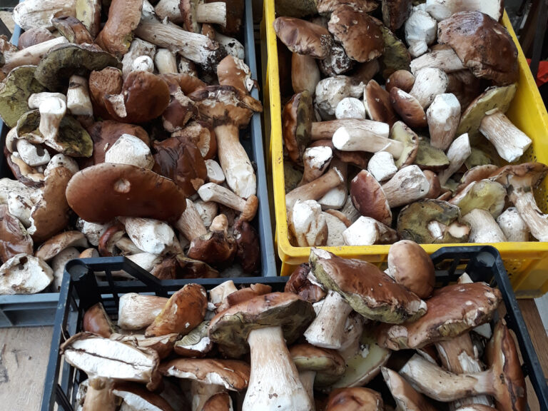 Comment conserver une ratatouille maison ?