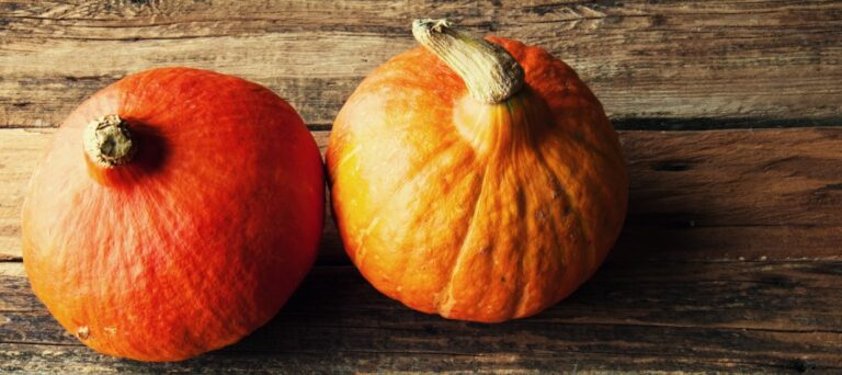 Comment cuire du potiron à l'eau ?