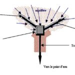 Comment extraire l'eau d'érable ?