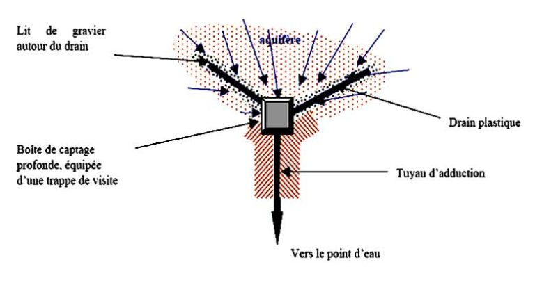 Comment extraire l’eau d’érable ? Comment extraire l'eau d'érable ?