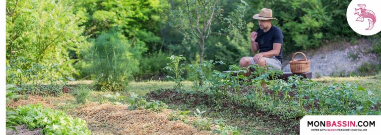 Comment garder la couleur verte du brocoli ?