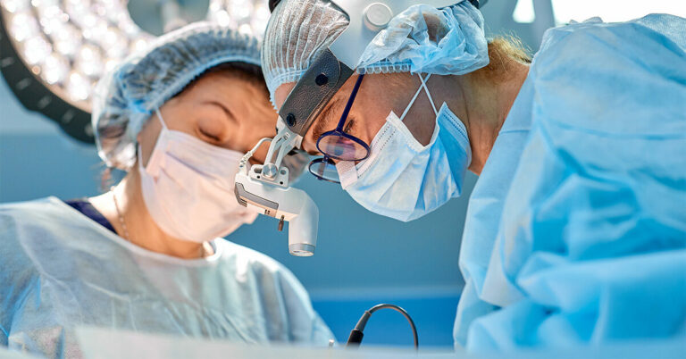 Comment les reins de porc aident à sauver des vies