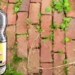 Comment manger le soir pour maigrir ?