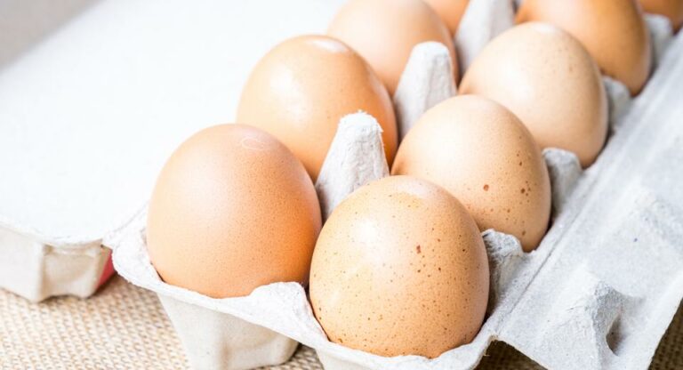 Comment savoir si les artichauts sont encore bon ?