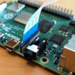 Comment utiliser le Tabasco vert ?