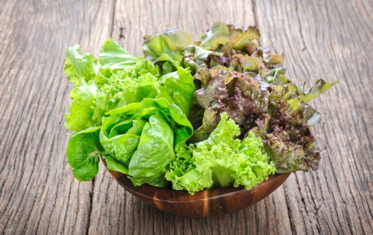 Est-ce que les andouillettes font grossir ? Est-ce que les andouillettes font grossir ?