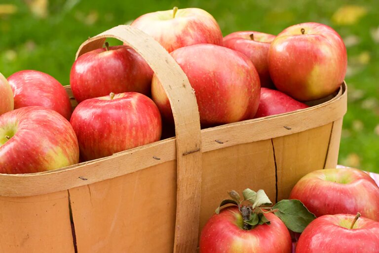 Profitez au maximum de vos fruits et légumes d’automne!