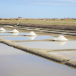 Quel est le poids d'un morceau de sucre normal ?