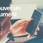 Quel numéro d'huîtres choisir ?