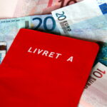 Quelle partie est le magret ?