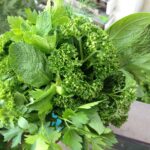 Quelles herbes pour le saumon ?