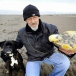 Qu'est ce qui remplace le Tabasco ?