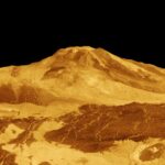 Qui A-t-il dans la polenta ?