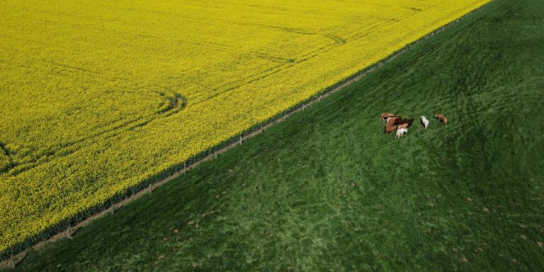 « Ces territoires sont aujourd’hui les échelles les plus pertinentes pour équilibrer production et consommation locales »