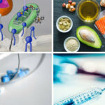 Cours public: Les graisses (lipides): de la nutrition aux nouveaux vaccins ARNm Autre lieu