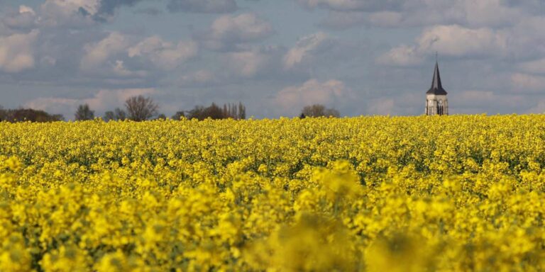 « Il faut produire mieux, pas produire plus »