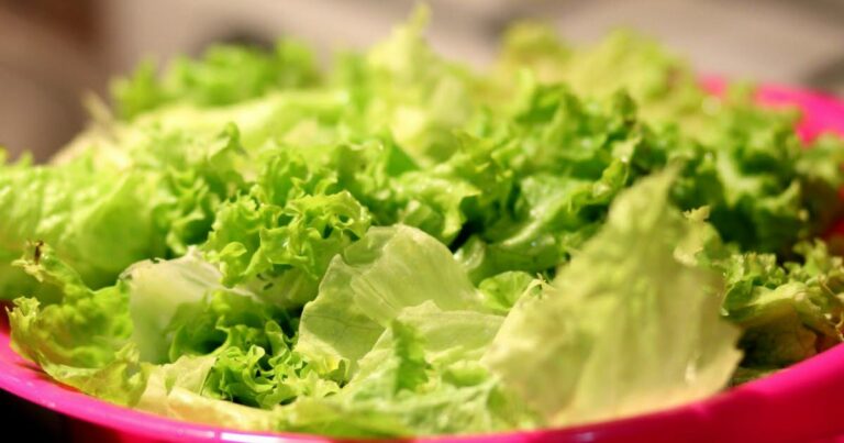 La nutrition. Connaissez-vous tous les bienfaits des salades ?