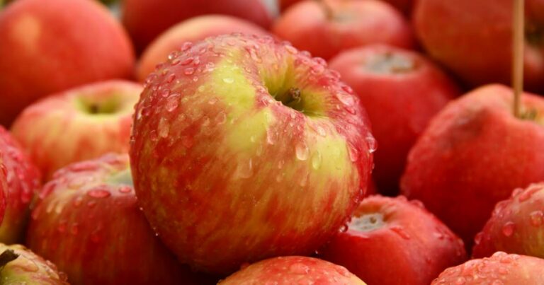 La nutrition.Pourquoi Apple est un allié important pour votre santé