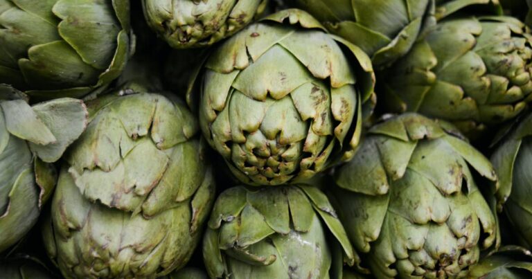 La nutrition.Pourquoi les artichauts sont un aliment sain