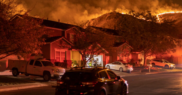 La saison des feux de forêt est arrivée et ce que vous devez faire maintenant