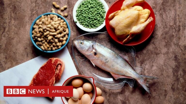 Nutrition : Combien de protéines pouvez-vous manger en toute sécurité ?