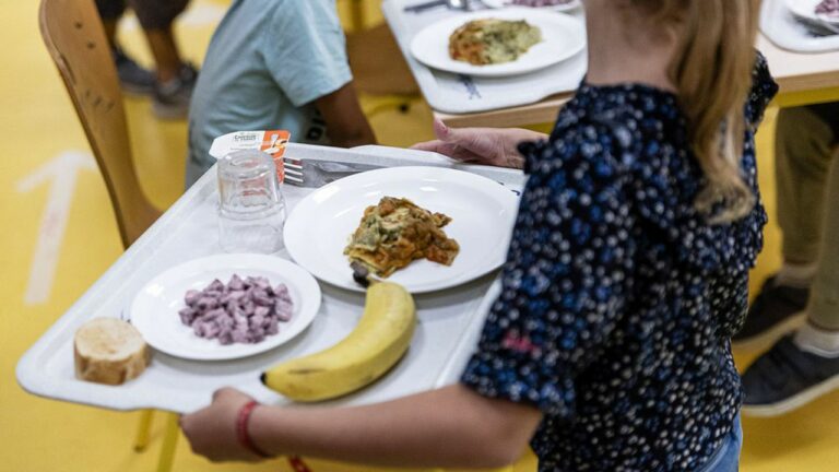 Il semble indispensable que les bases de la nutrition et de la diététique soient enseignées dans les écoles et dans les lycées.