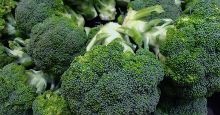 Pourquoi ce légume est bon pour la santé