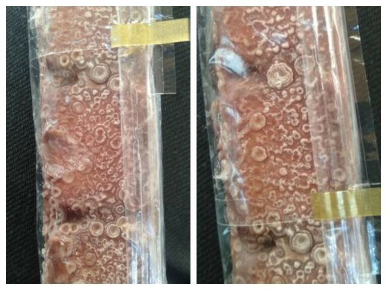 Une &eacute;tudiante a trouv&eacute; un Kinder Bueno pr&eacute;sentant des taches, lundi 25 avril 2022, au campus Robert Schuman d