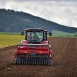 Un plan de la R&eacute;gion de 2,5&nbsp;M d&rsquo;euros pour aider la lentille verte du Puy