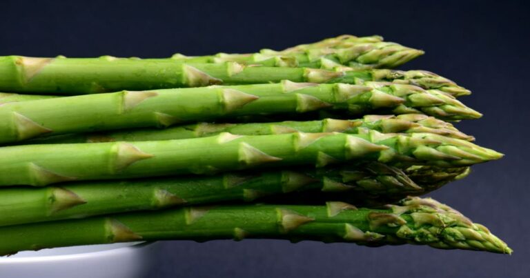 Un véritable allié pour le transit intestinal