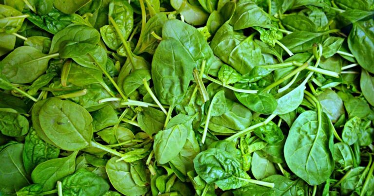 vrais amis en bonne santé