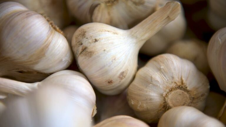 10 aliments que vous ne pouvez pas conserver au réfrigérateur