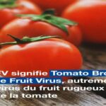 C'est quoi de la pulpe de tomate ?