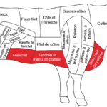 C'est quoi le gîte de bœuf ?