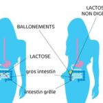 C'est quoi le lactose du lait ?