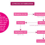 C'est quoi sans lactose ?