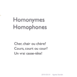 C'est quoi un homonyme exemple ?