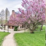 Le charme gourmand d’un ancien presbytère: Maxime Colin propose dans un cadre magnifique une cuisine qui l’est tout autant