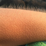 Comment Appelle-t-on la chair d'une orange ?