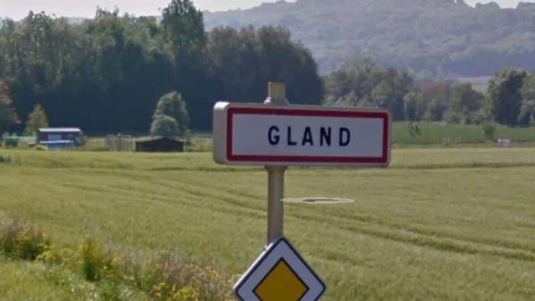 Comment Appelle-t-on les oreillettes ?