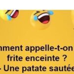 Comment Appelle-t-on un portefeuille ?