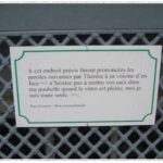 Comment Appelle-t-on une personne qui a tout le temps faim ?