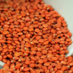 Comment Mange-t-on les lentilles corail ?