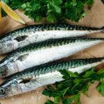 Comment Peut-on cuisiner le maquereau ?