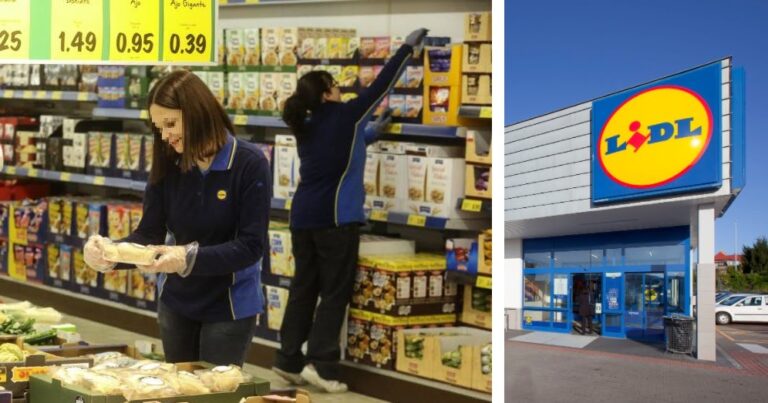 Comment activer les offres Lidl Plus ?