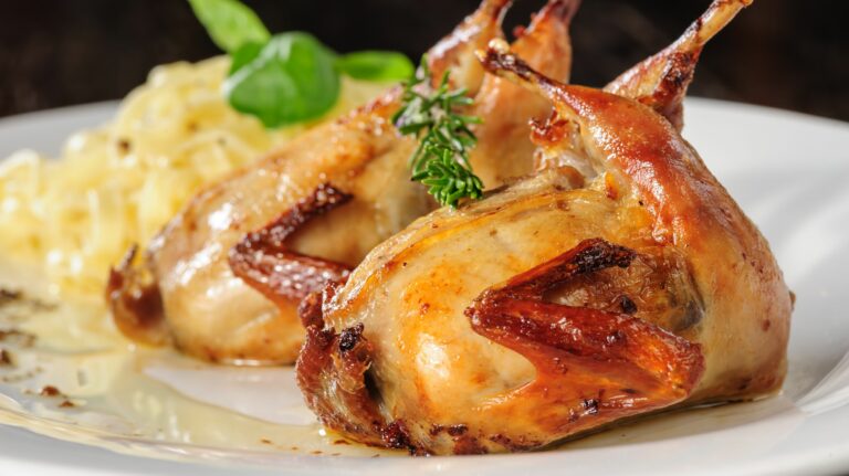 Comment alimenter les cailles ?