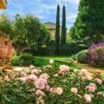 Comment amenager un jardin méditerranéen ?