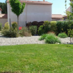 Comment aménager un petit jardin méditerranéen ?