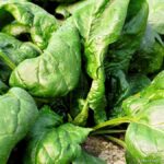 Comment associer les épinards ?