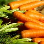 Comment bien conserver les carottes ?